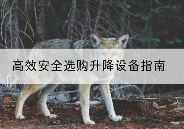 红原升降货梯厂家推荐-*安全选购升降设备指南