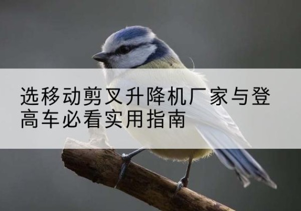 红原电动升降机厂家-选移动剪叉升降机厂家与登高车必看实用指南