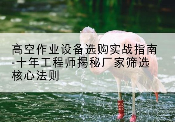 红原剪叉式升降机厂家-高空作业设备选购实战指南-十年工程师揭秘厂家筛选核心法则