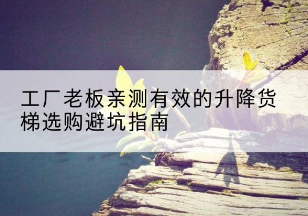 红原升降货梯怎么选-工厂老板亲测有效的升降货梯选购避坑指南